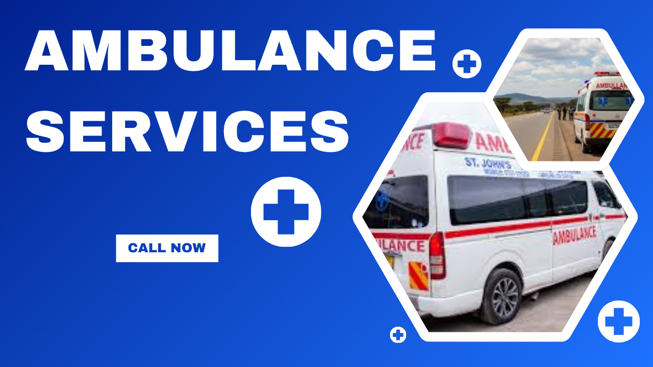 Exclusive Collection